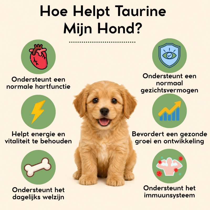 Petnari Taurine voor Honden - NL