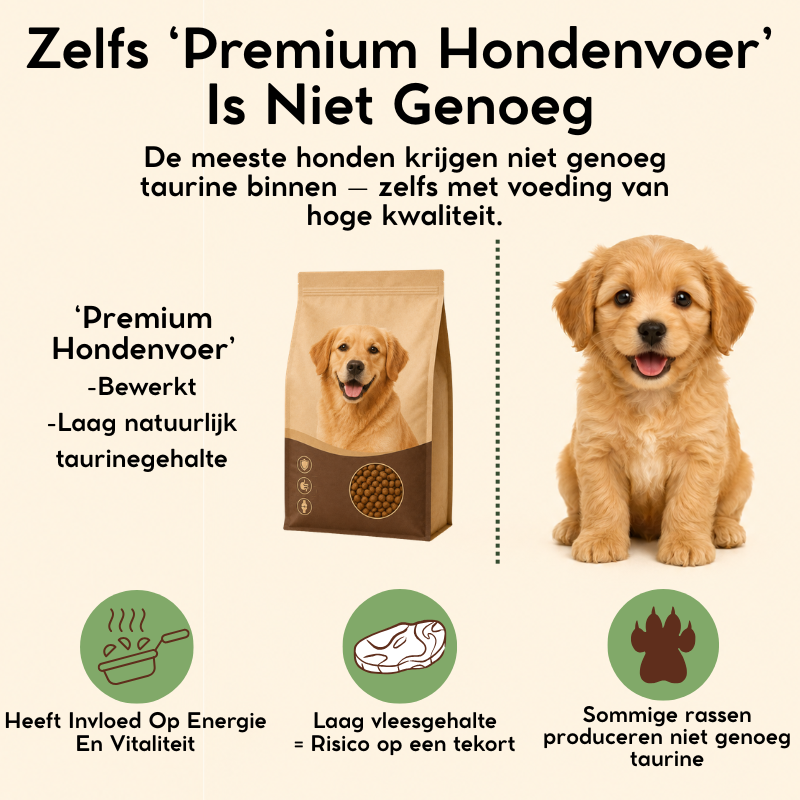 Petnari Taurine voor Honden - NL