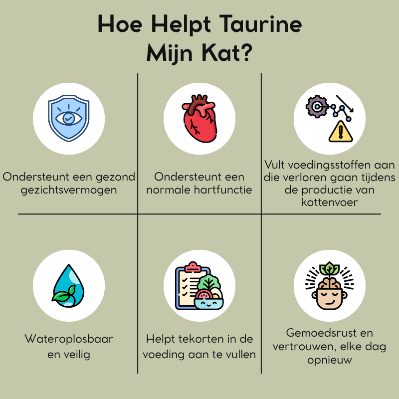 Taurine voor Katten - NL