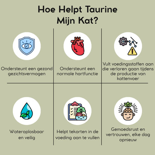 Taurine voor Katten - NL